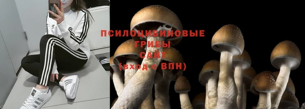 СК Магас