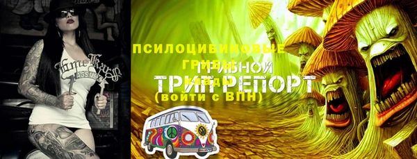 СК Магас