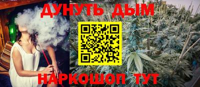 гашик Ипатово