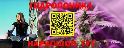 гашик Ипатово