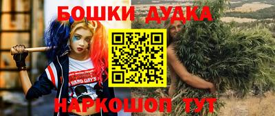 мяу мяу мука Аргун