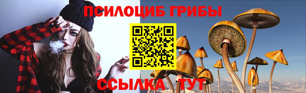 Галлюциногенные грибы прущие грибы  как найти закладки  Мелеуз 