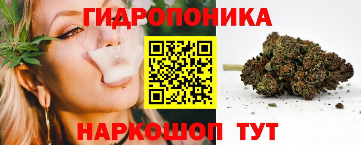 Бошки Шишки Amnesia Мелеуз